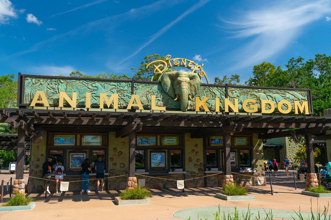 The current Animal KingdomCredit: AaronP/Bauer-Griffin/GC Images