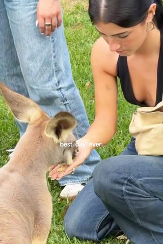 Robert Irwin Names Kangaroo After Charli D’Amelio Charli D'Amelio at Australia Zoo.Credit: Charli D’amelio/Tiktok