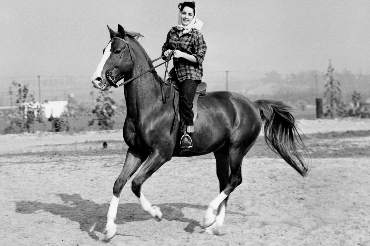 British American Actress Elizabeth Taylor (1932-2011) at 14 years old rides her horse King Charles Elizabeth Taylor, at 14, rides her horse, King CharlesCredit: Metro-Goldwyn-Mayer/De Carvalho Collection/Getty