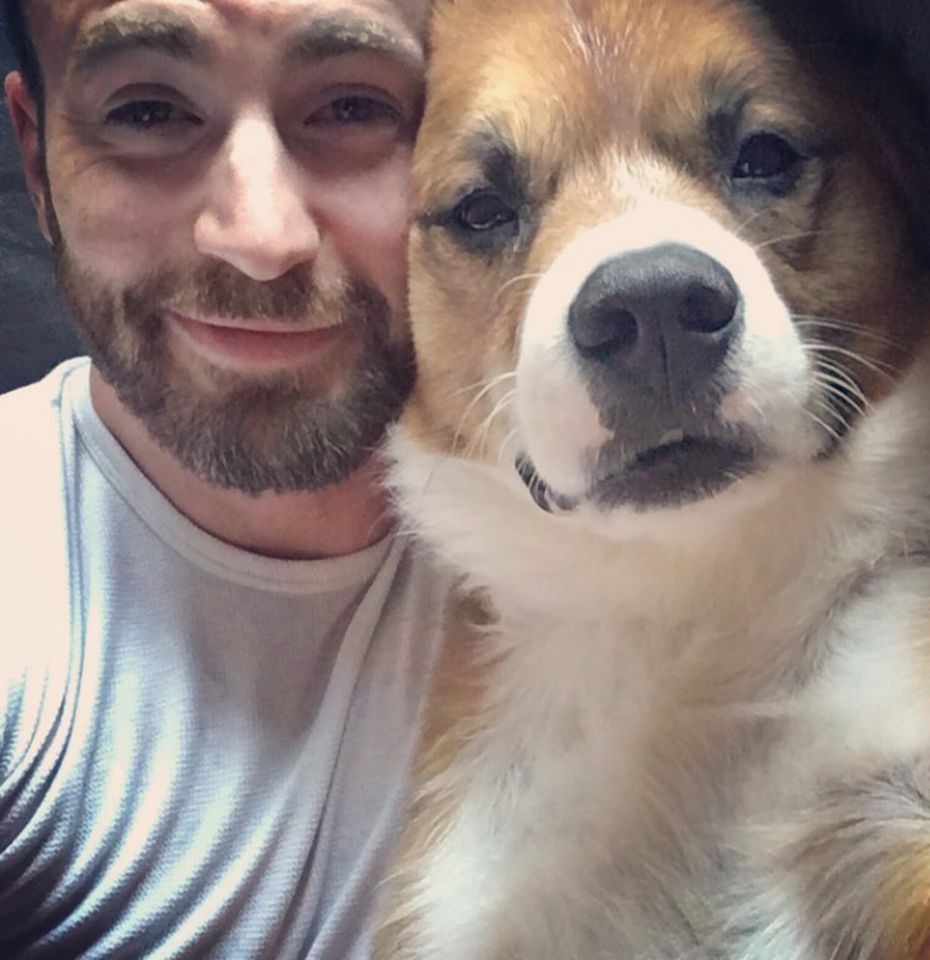 Chris Evans Says His Pet Dodger Is âa Cut Above the Average Dogâ: âI'm Probably Biasedâ Chris Evans takes an adorable photo with his dog DodgerCredit: Chris Evans/Instagram