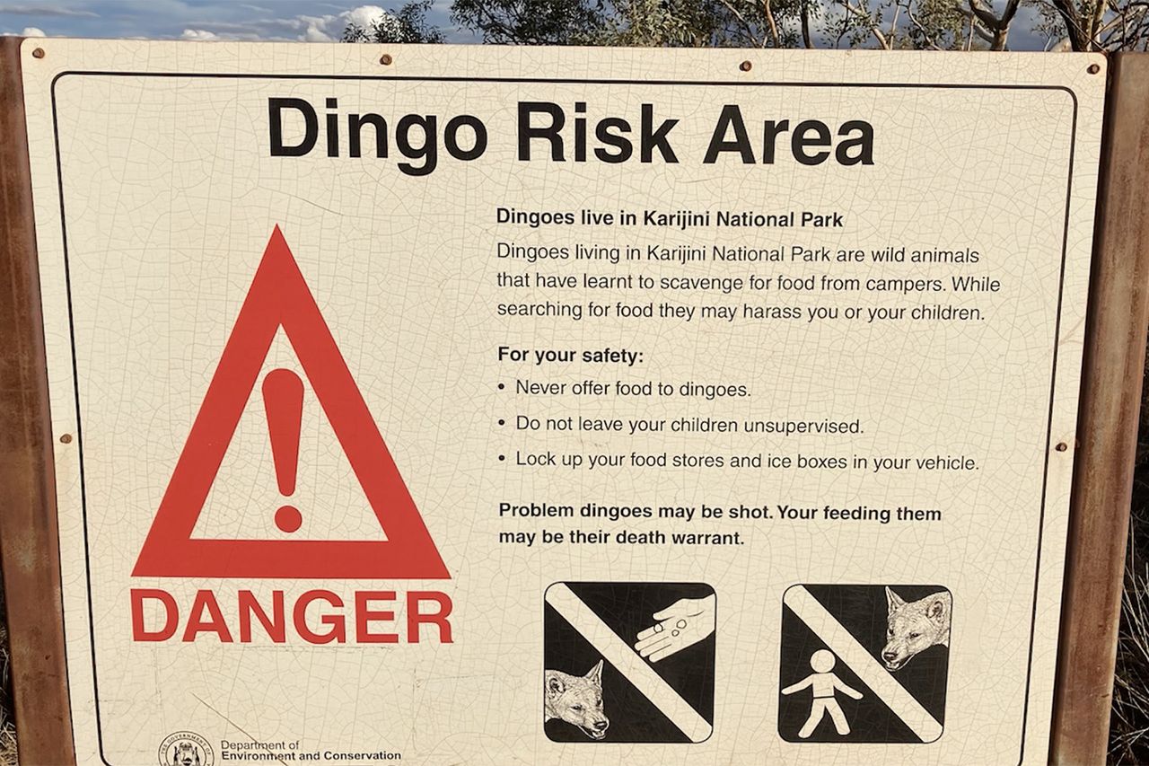 A dingo warning sign at the Karijini National ParkCredit: DBCA