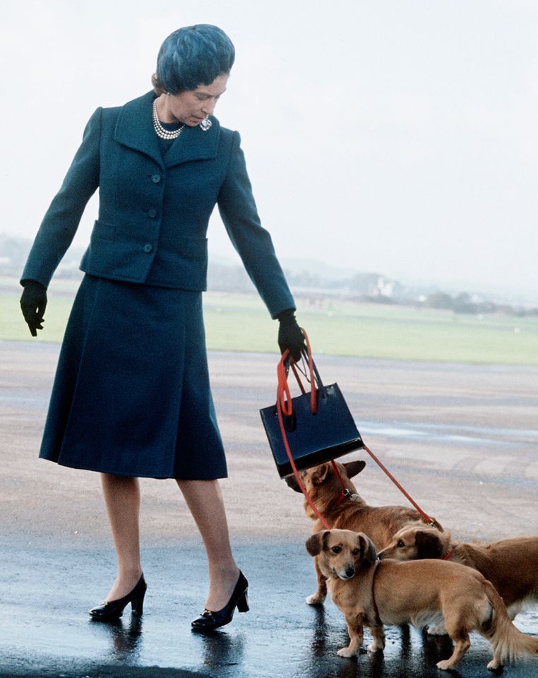 Queen Elizabeth arrives at Aberdeen Airport in Balmoral, Scotland, with her corgis in 1974Credit: Anwar Hussein/Getty