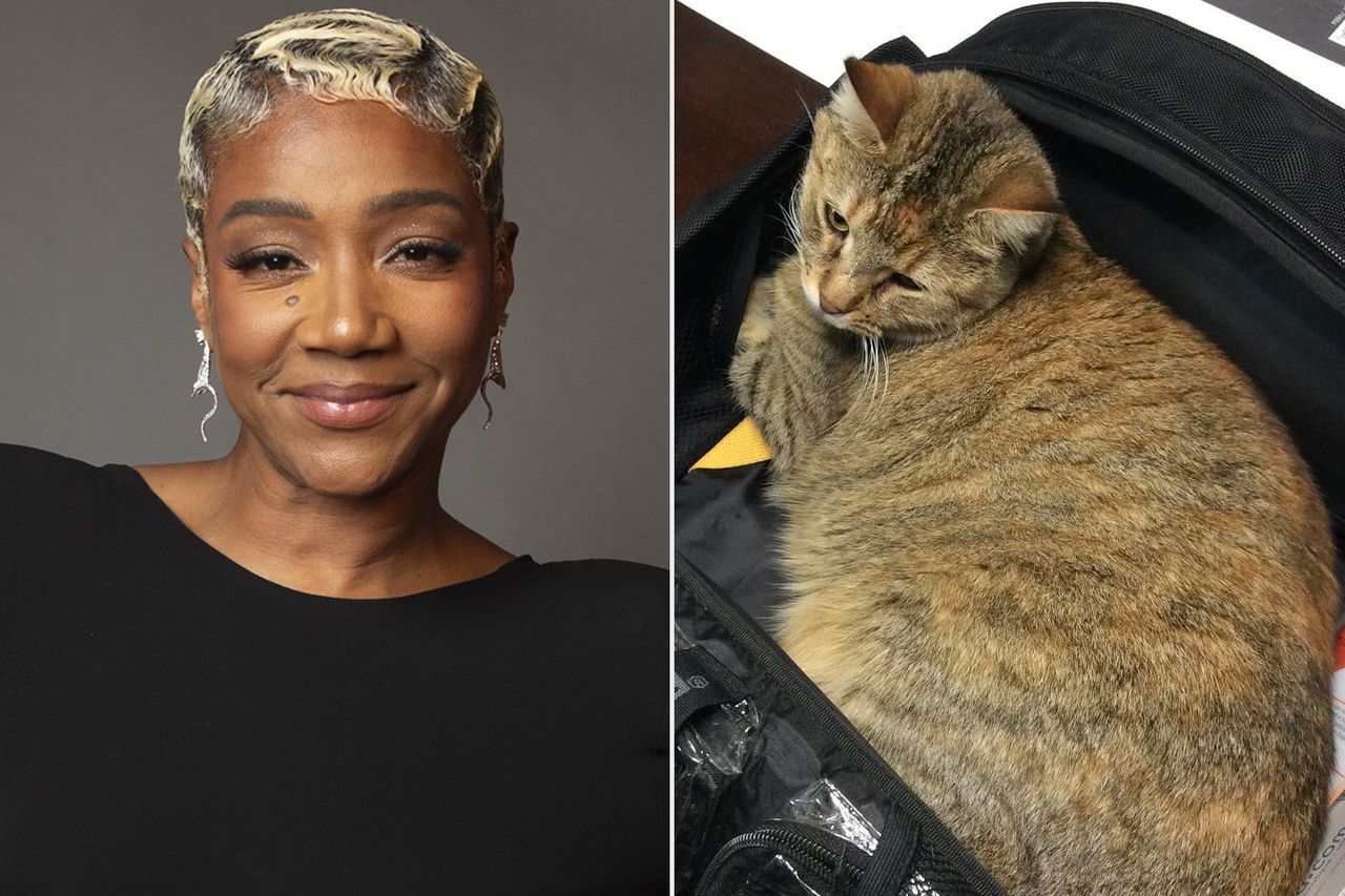 Tiffany Haddish's Cat From left: Tiffany Haddish is photographed in the portrait studio at the ESPYS in Los Angeles on July 12, 2023; Tiffany Haddish's cat CatonicCredit: Ben Trivett/Shutterstock for PEOPLE; Tiffany Haddish/Instagram