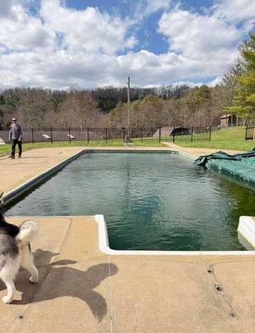 A dog near an outdoor pool with a person in the background and a natural landscape Alyssa Lynn Hartrick captures photo of pool uncleanedCredit: Alyssa Lynn Hartrick