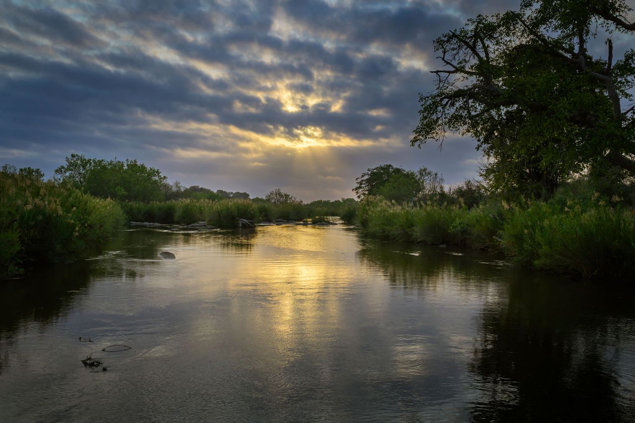 Kruger National Park in South AfricaCredit: getty