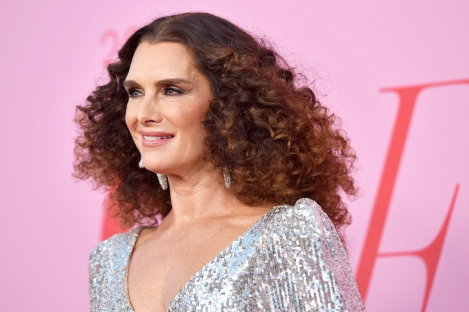 Brooke Shields Through The Years, From Child Star To Today