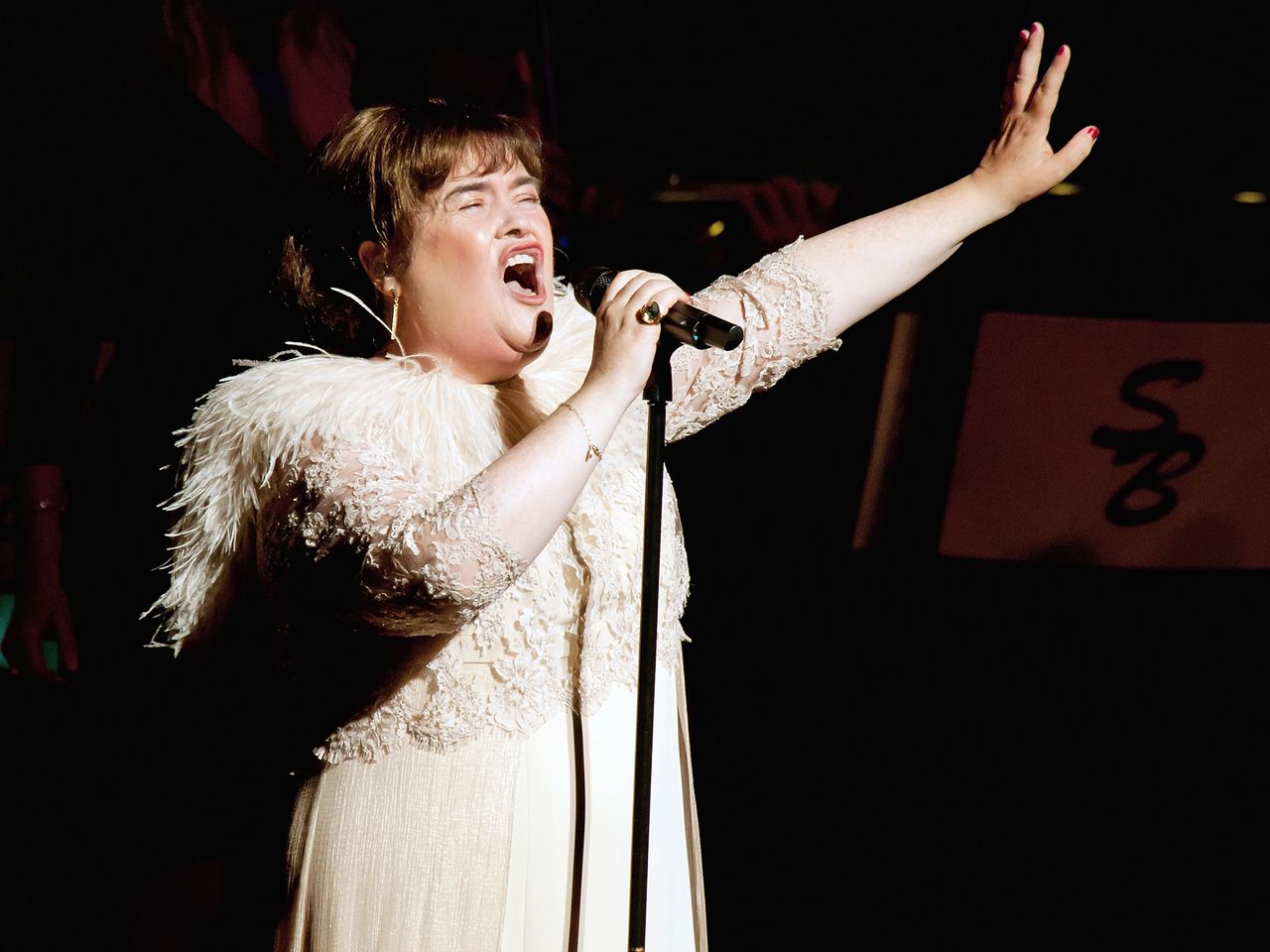 Susan Boyle performs at Segerstrom Center For The Arts on October 16, 2014.Credit: Doug Gifford/Getty