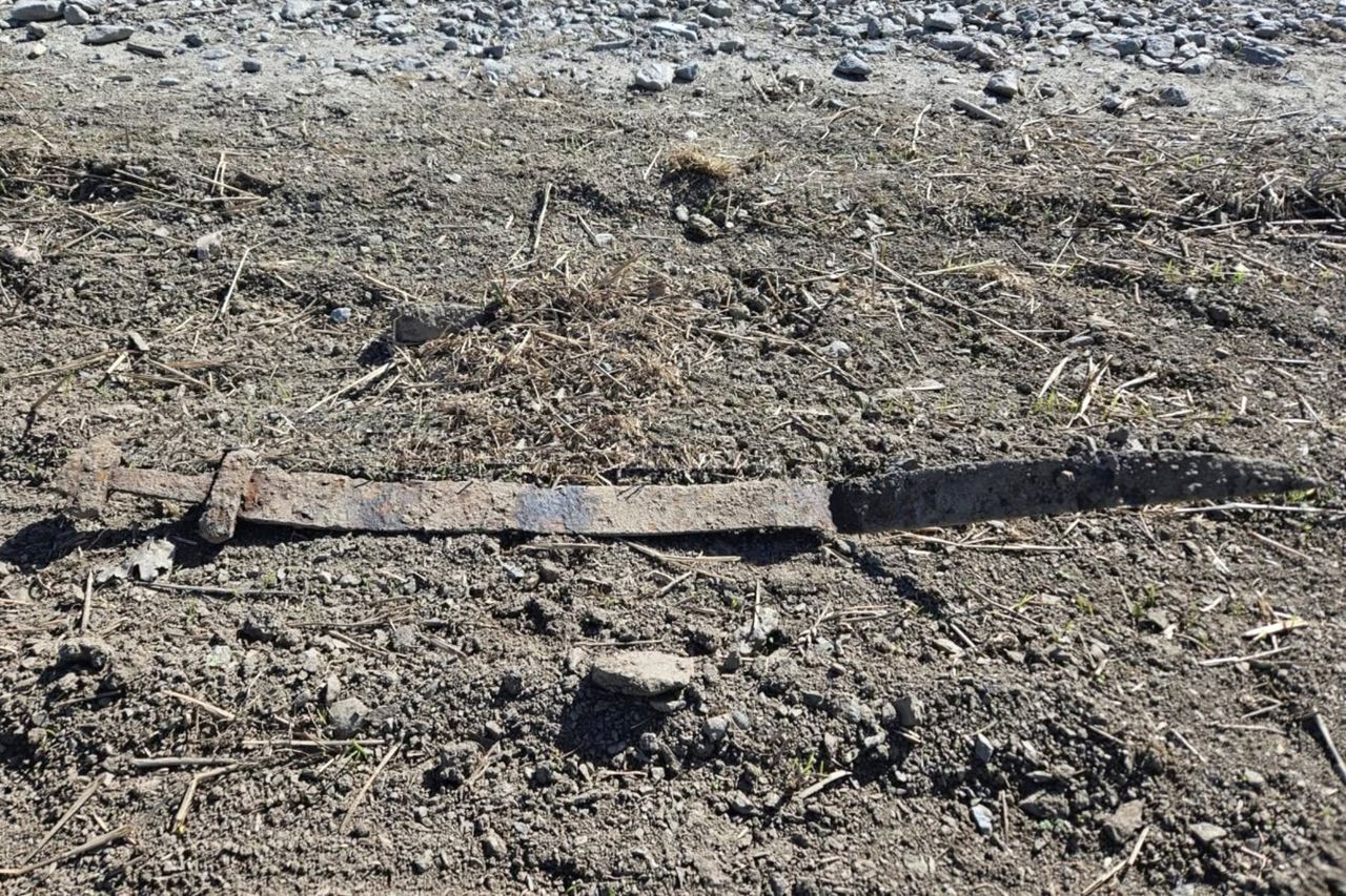 Ancient Viking Sword First grader finds viking sword on field trip in NorwayCredit: Anna McLoughlin/Kulturarv i Innlandet