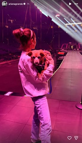 Ariana Grande dog Ariana Grande and her dog in her June 16, 2026 Instagram StoriesCredit: Ariana Grande/Instagram