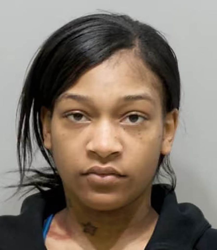 2 Sisters Allegedly Stabbed, Threw Hot Oil at Fast Food Employee for Getting Order Wrong. One of Them 9 Months Pregnant - Brianna Long Brianna Long's mug shotCredit: Detroit Police Department
