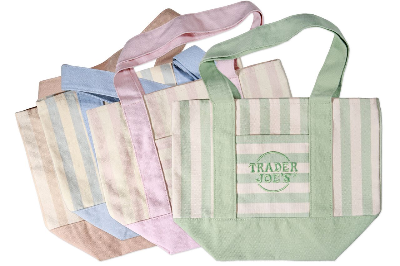 Trader Joe’s Striped Canvas Mini ToteCredit: Trader Joe’s