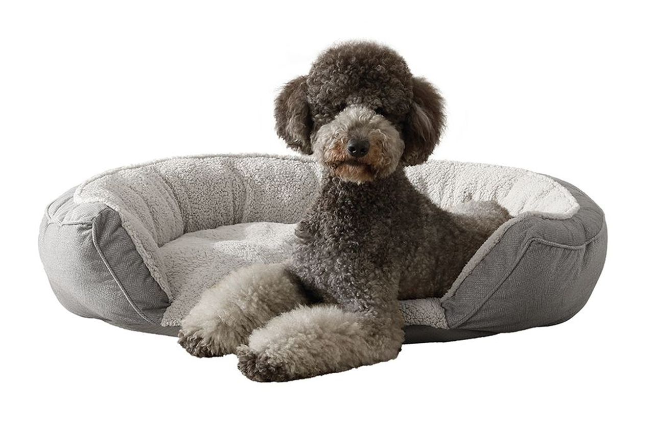 Arlee Home & Pet Step In Orthopedic Eco-Friendly Memory Foam Pet Bed Credit: Petsmart