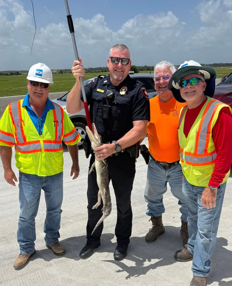 Fulshear Police Lt. Henry poses with the little gator and construction workersCredit: Fulshear Police/Facebook