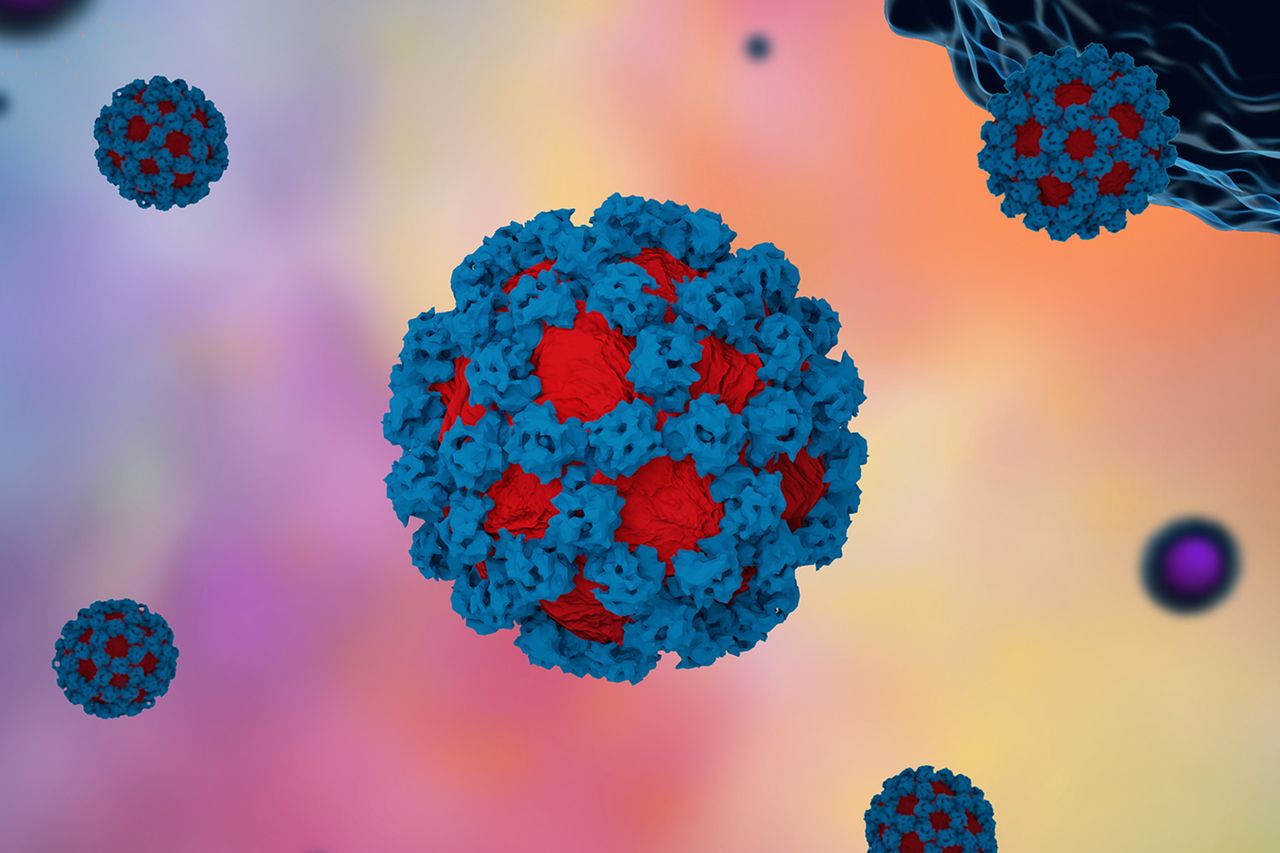 Norovirus illustration (stock image)Credit: Getty