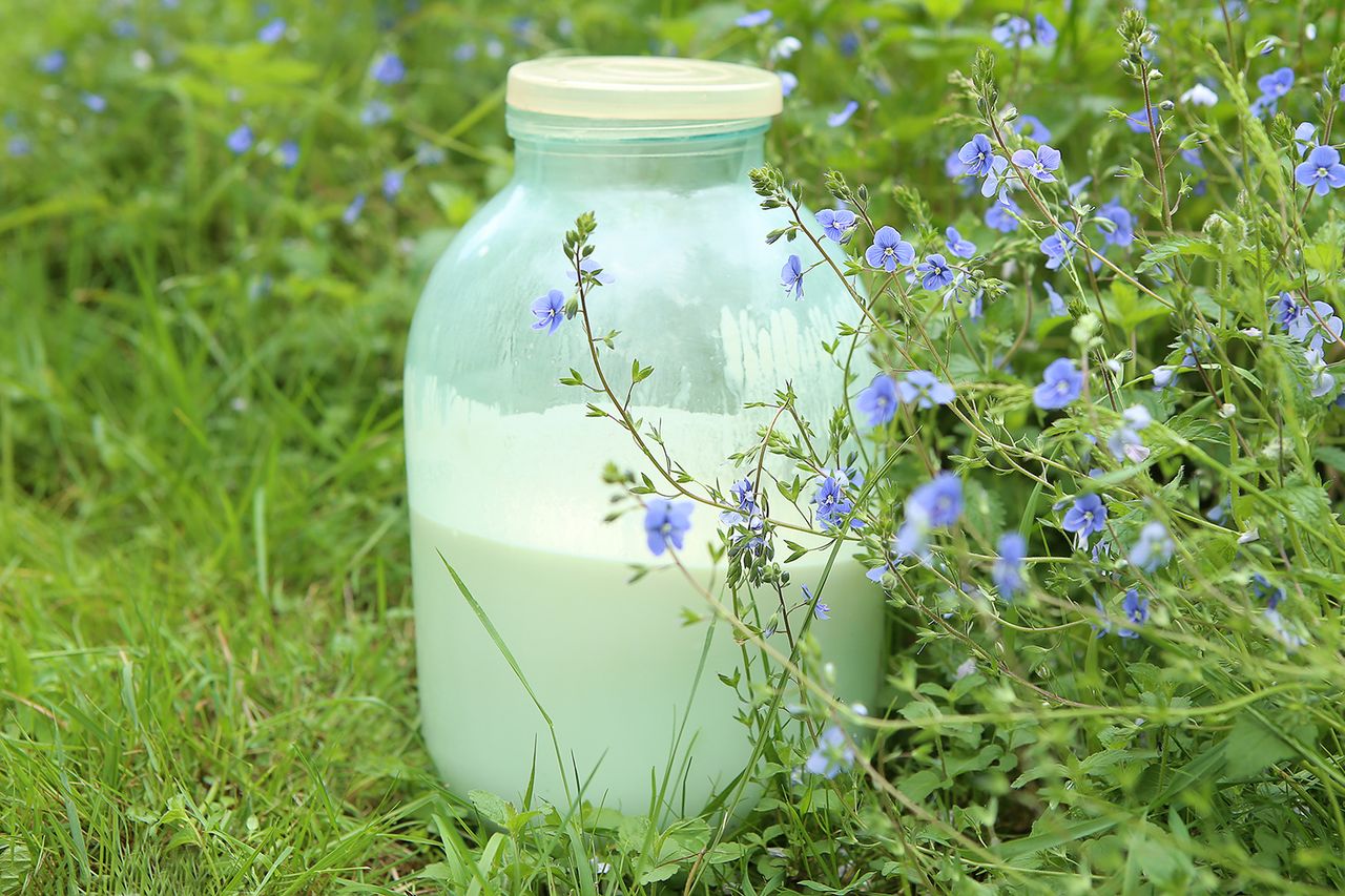 Stock image of a jar filled with raw milkCredit: Getty