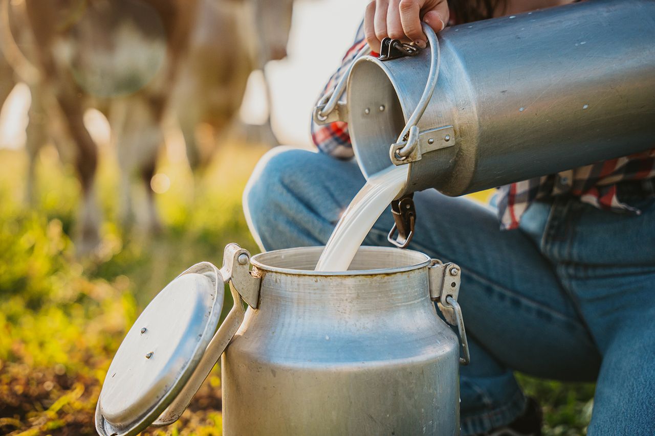 Stock image of raw milk being poured into containerCredit: Getty