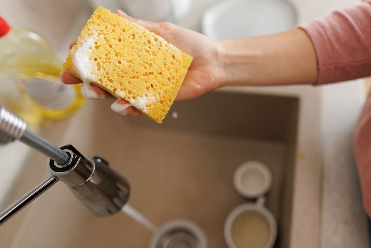 Generic sponge and dishes Stock image of a woman holding a soapy spongeCredit: Getty