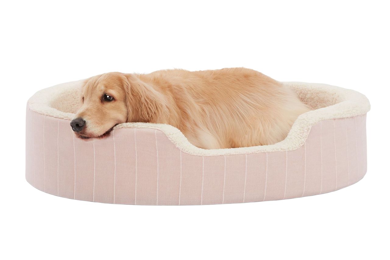 Top Paw® Orthopedic Cuddler Striped Tan Medium Dog Bed Credit: Petsmart