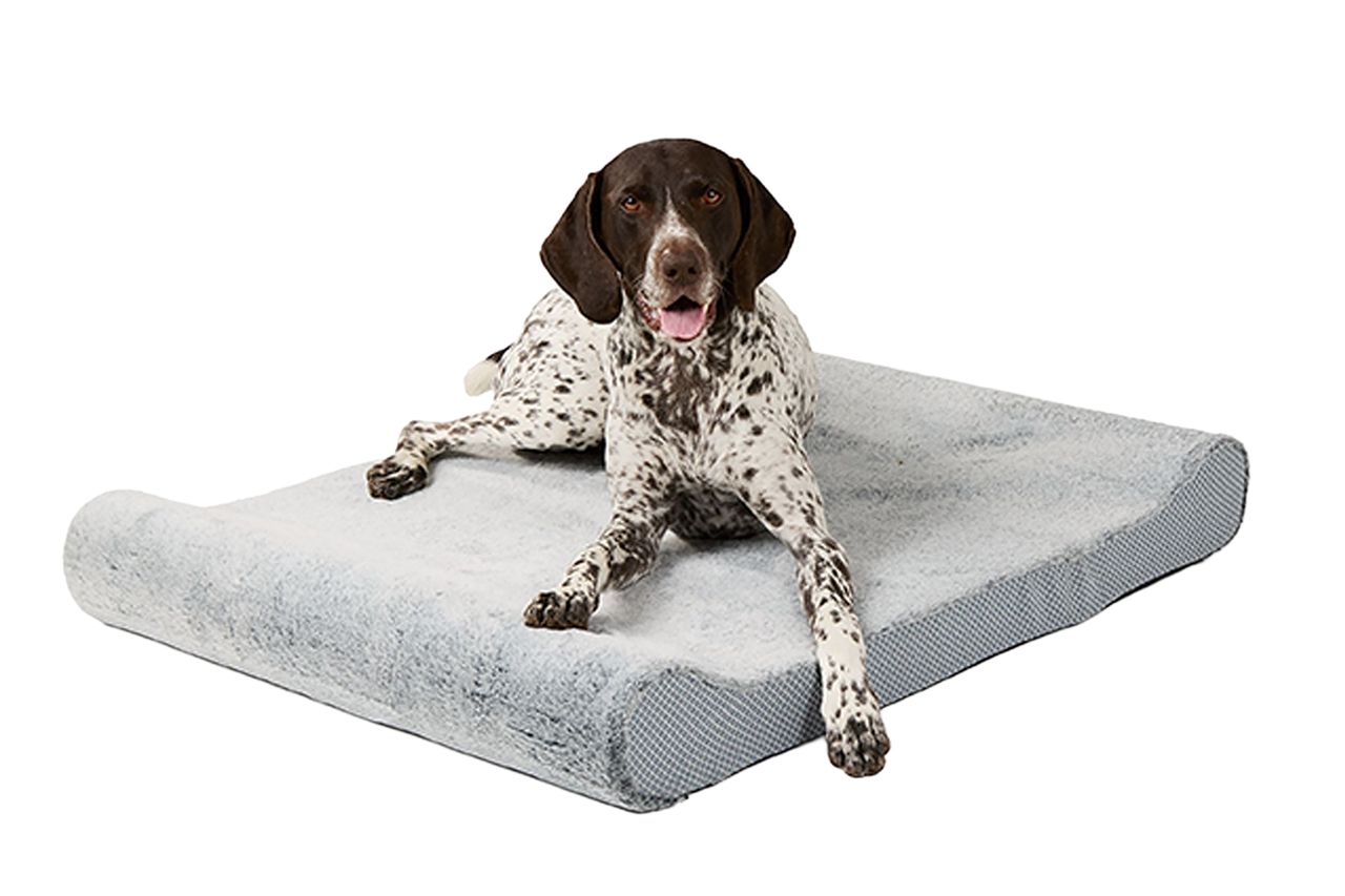 Top Paw® Orthopedic Lounger Dog Bed Credit: Petsmart