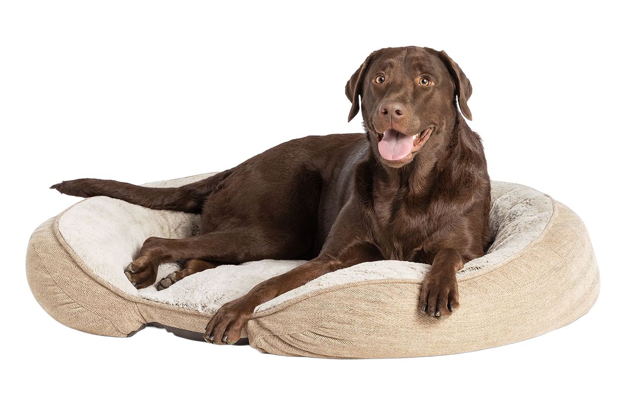 Top Paw Orthopedic Premium Support Tan Oval Lounger Large Dog Bed Credit: Petsmart