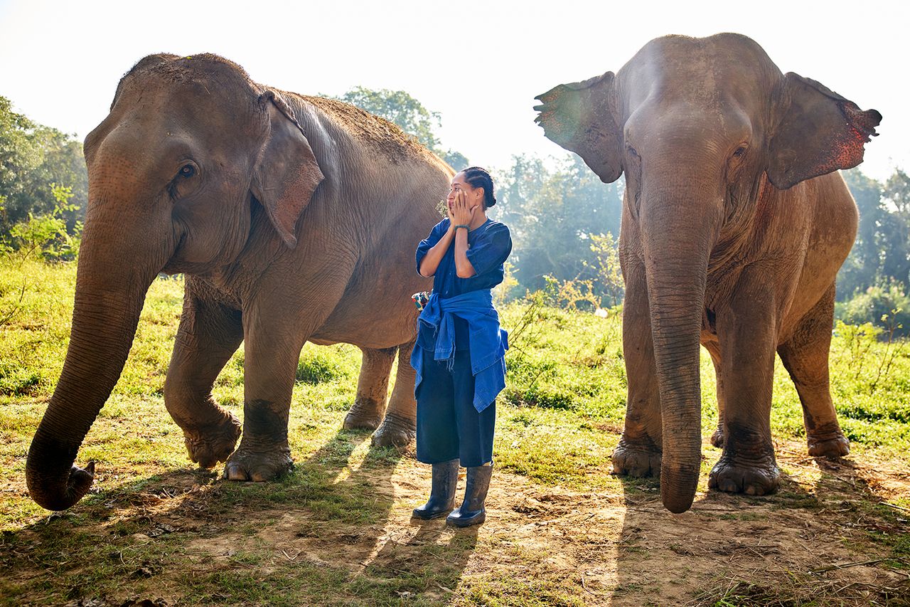 Tracee Ellis Ross in Season 2 of Solo Traveling with Tracee Ellis Ross Tracee Ellis Ross in season 2 of 'Solo Traveling'Credit: Matt Sayles/The Roku Channel