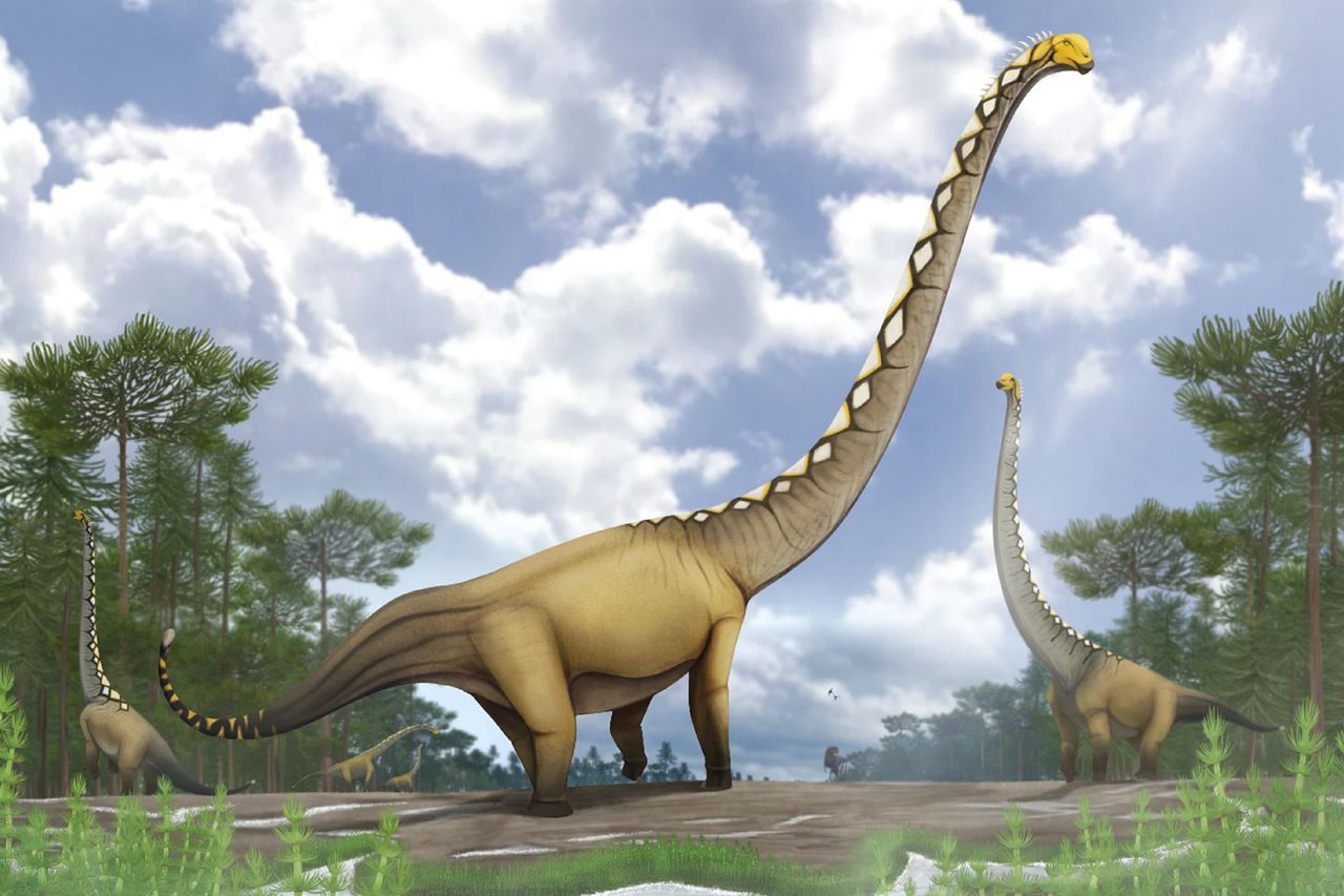 Life reconstruction of a herd of five individuals of Uragasaurus kalasinensis inhabiting a Late Jurassic forest in Thailand, accompanied by a pair of rhamphorhynchoid pterosaurs and a metriacanthosaurid theropod Artwork of showcasing five dinosaurs of Uragasaurus kalasinensisCredit: Artwork by Pakorn Chotchaiyaporn