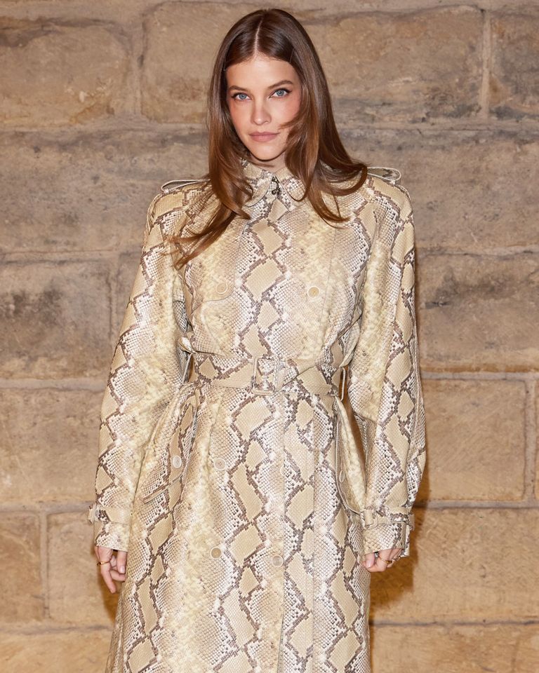 Barbara Palvin attends the Elie Saab Womenswear Fall/Winter 2026-2027 Barbara Palvin at the Elie Saab Fall/Winter 2026 show during Paris Fashion WeekCredit: Peter White/Getty