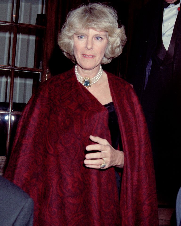 Camilla Parker Bowles Camilla at a party in London in 1995Credit: David M. Benett/Getty