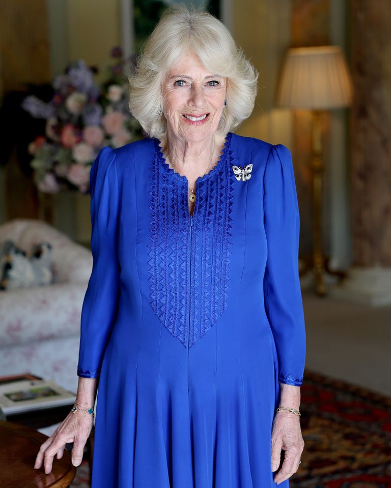 Queen Camilla poses for a portrait to mark her birthday at Hillsborough Castle.Credit: Chris Jackson/Getty for Buckingham Palace