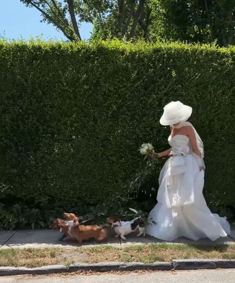Halley Kate and her daschunds.Credit: Halley Kate/Instagram