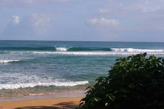 Playa La SelvaCredit: Google Maps