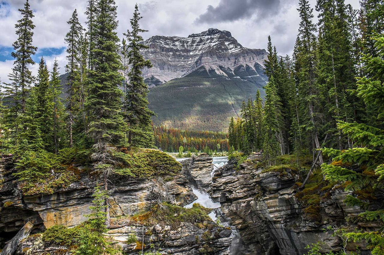 Tumbler Ridge in British Columbia, CanadaCredit: Getty