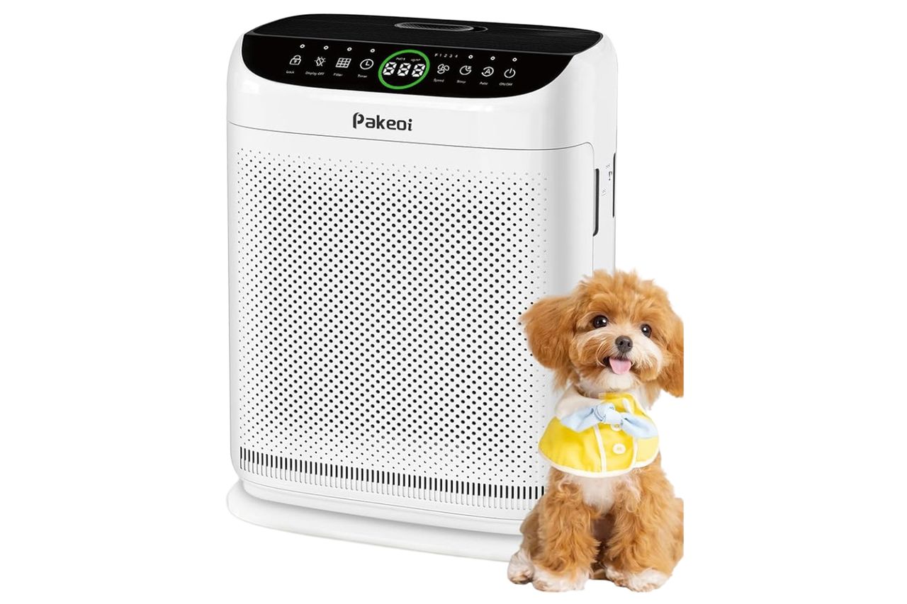 Air Purifiers for Home Large Room Up to 3000 Ft² With Double Air Intake,PAKEOI HEPA Air Purifier for Bedroom With Washable Pre-Filters, Remote Control, 15dB Sleep Mode,Air Cleaner for Pets Dust, White : Home Credit: Amazon