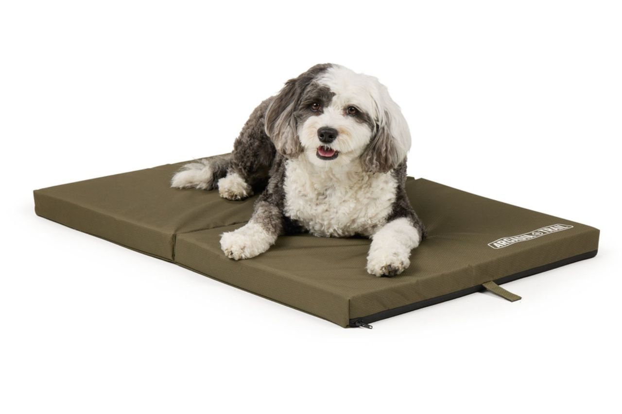 Arcadia Trail® Folded Travel Dog Bed Credit: Petsmart
