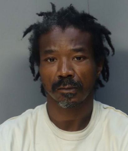 A dog owner is behind bars after Miami police said his two pit bulls attacked a man and his dog in Wynwood. Police identified the owner as Jonte Jack. Jonte Jack mug shotCredit: Miami-Dade Corrections