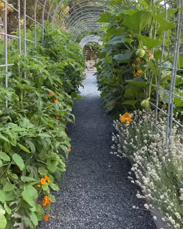 Anderson’s gardenCredit: pamela anderson/instagram