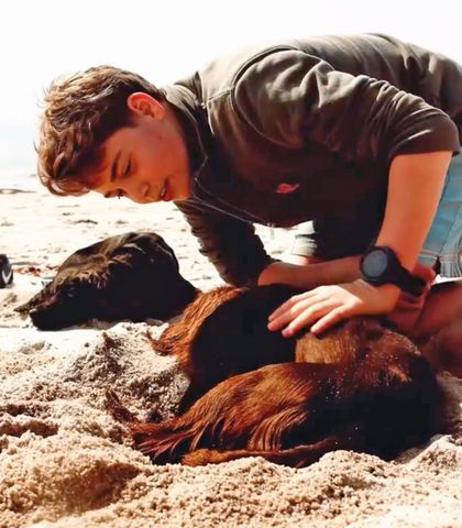 Prince George and the family dogs, Orla and Otto, in his 13th birthday video on July 22, 2026Credit: The Prince and Princess of Wales/Instagram