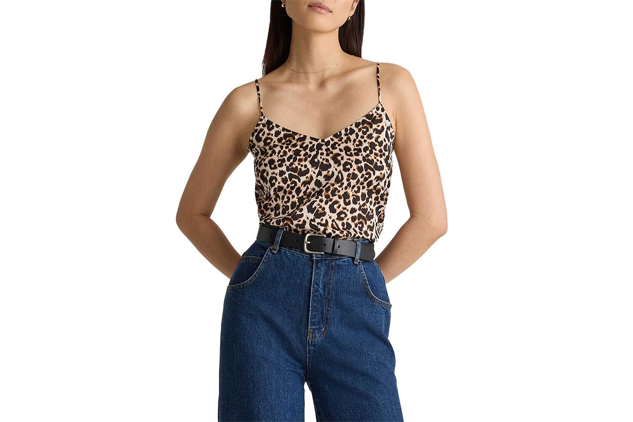 Washable Stretch Silk V-Neck Cami Credit: Quince