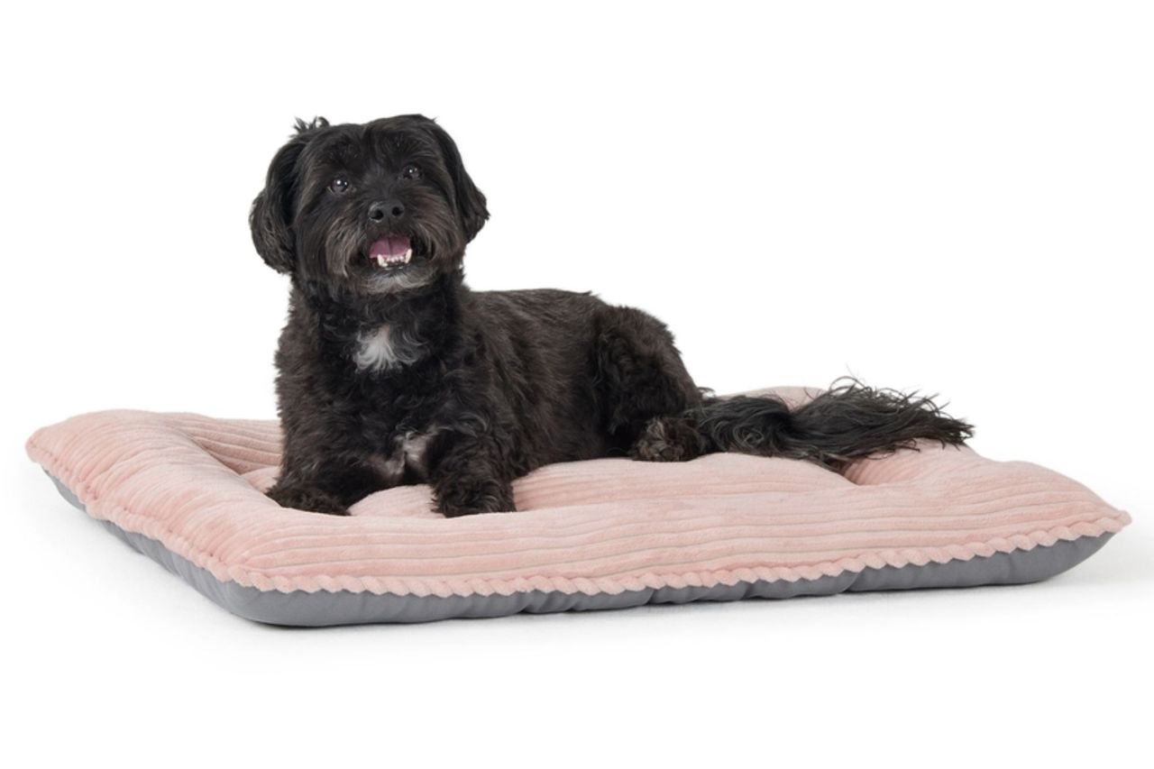 Top Paw Pink Cozy Pillow Bed Credit: Petsmart