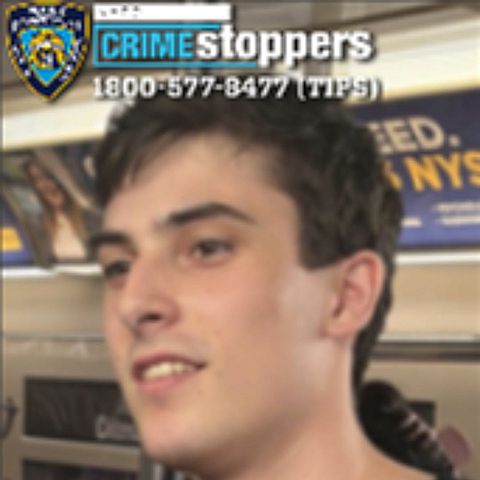 Ari ShteinCredit: NYPD