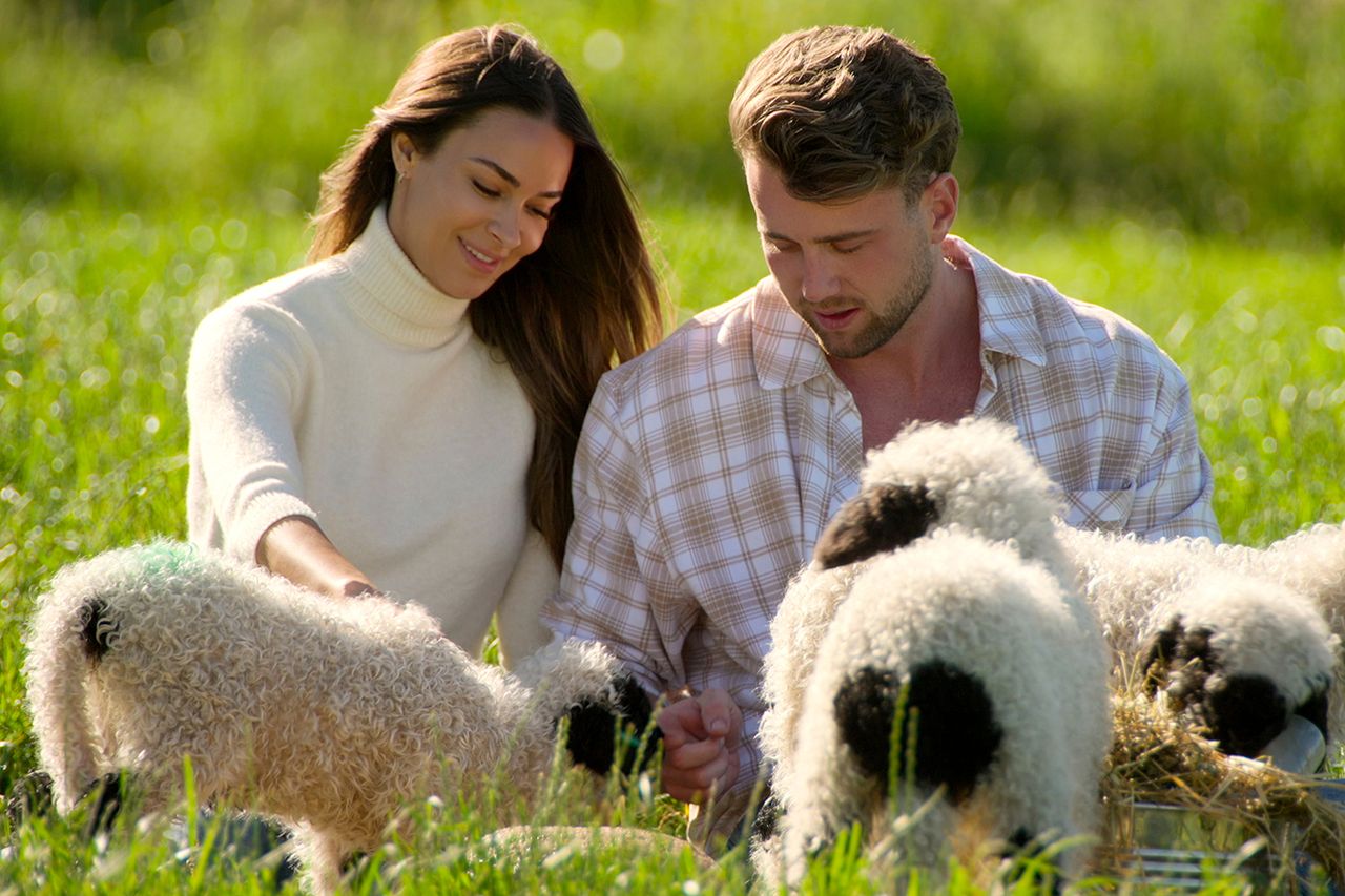 A man and a woman sitting in a field petting sheep Dannelle Davidson and Harry Jowsey on ‘Let’s Marry Harry’Credit: Netflix