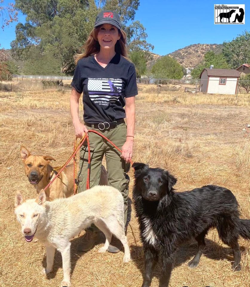 Linda Blair with dogsCredit: The Linda Blair Worldheart Foundation/Instagram