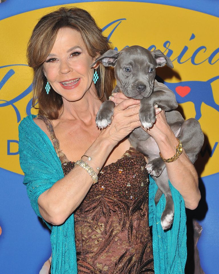 Actress Linda Blair arrives at 2018 American Rescue Dog ShowCredit: Jerod Harris/WireImage