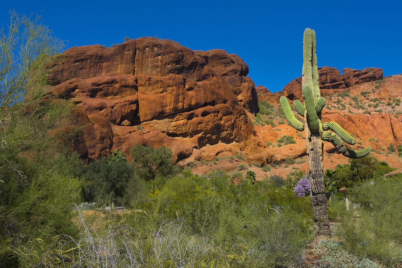Phoenix Arizona famous Camelback Mountain Camelback Mountain in Phoenix, Ariz.Credit: Education Images/Universal Images Group via Getty