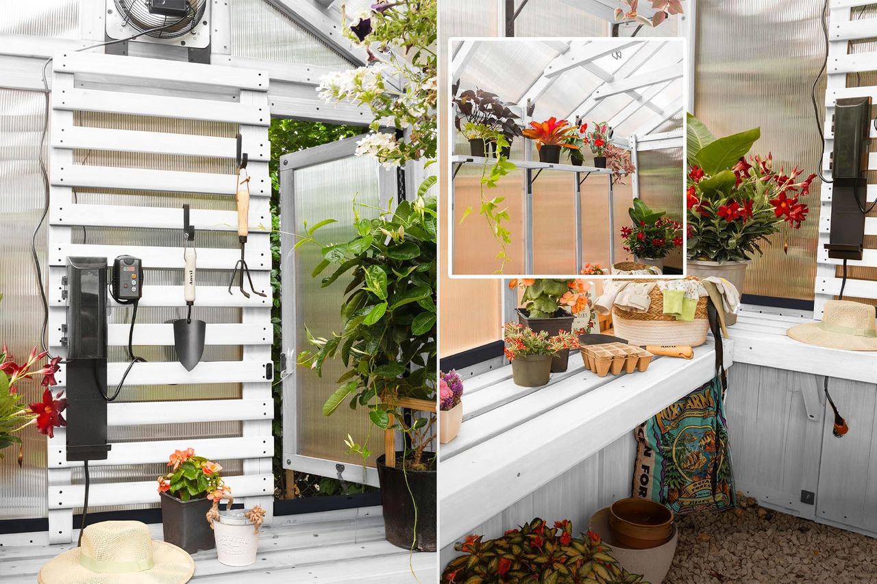 Backyard Discovery Bellerose 9' x 6' White Cedar Wood and Polycarbonate Walk-in Greenhouse Kit Credit: Amazon
