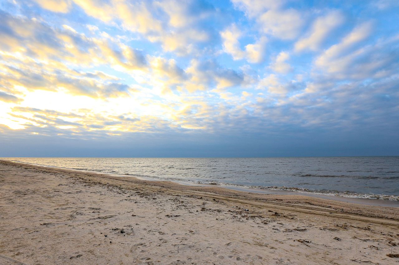 A photo of a Louisiana Beach.Credit: Getty