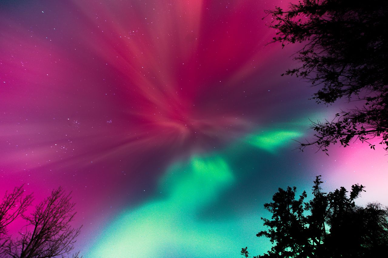 The Aurora BorealisCredit: Steven Garcia/NurPhoto/Shutterstock