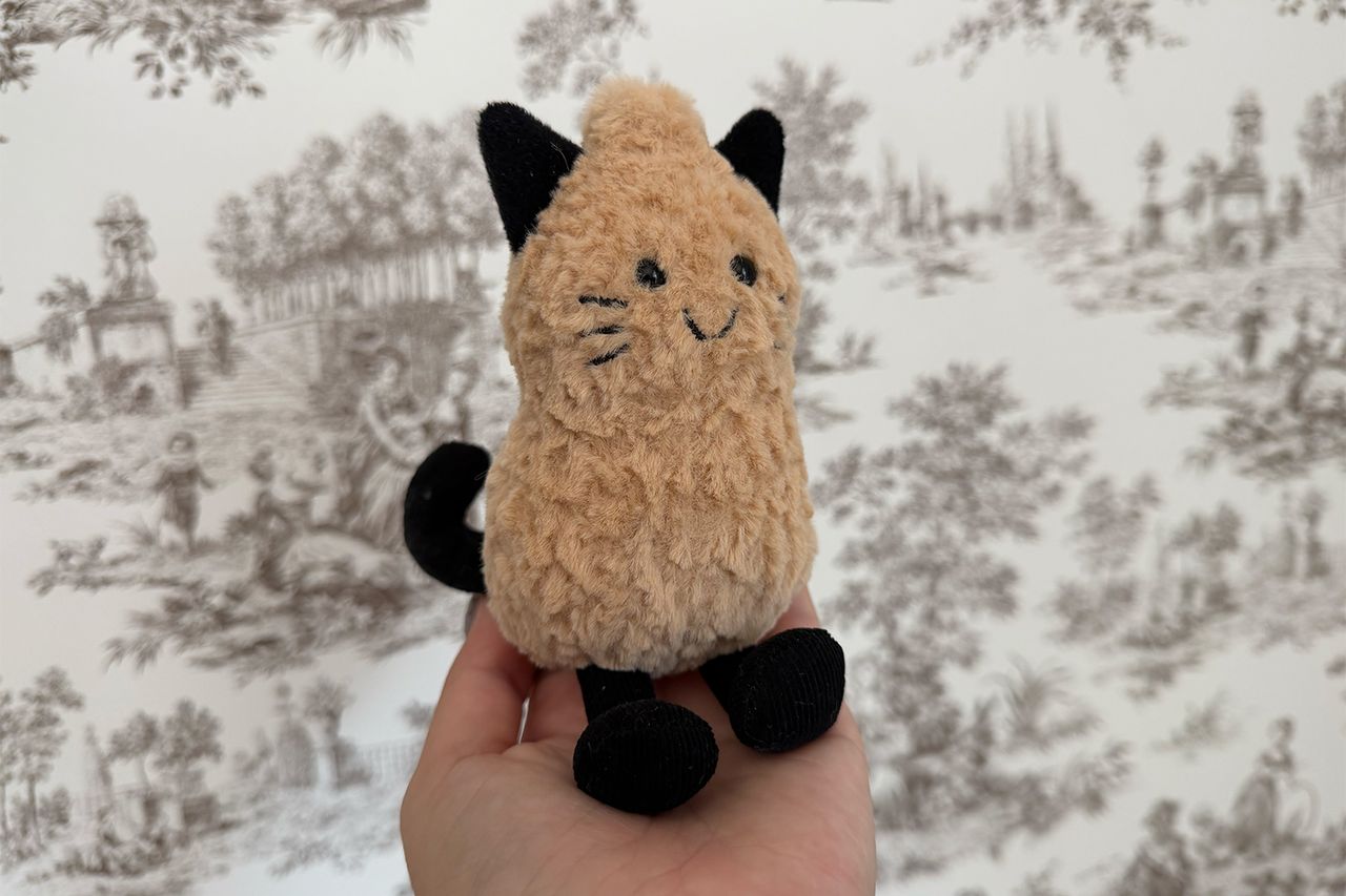 A small catthemed plush toy being held in front of a patterned background showcased up close Credit: People