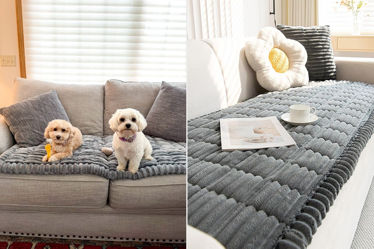 Two dogs on a couch with protective covers shown paired with a couch cover example with a magazine and teacup Credit: People; Amazon