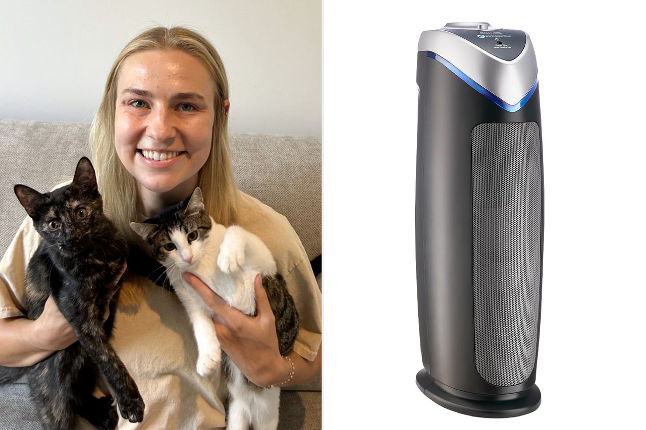 A person holding two cats next to a tall air purifier Credit: People; Amazon